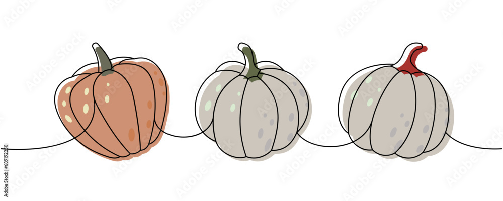 Pumpkins. Autumn pumpkins one line colored continuous drawing. Autumn halloween vegetables continuous one line illustration. Vector illustration.