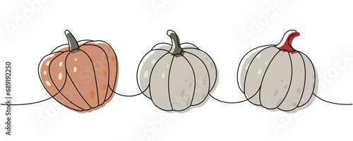 Pumpkins. Autumn pumpkins one line colored continuous drawing. Autumn halloween vegetables continuous one line illustration. Vector illustration.