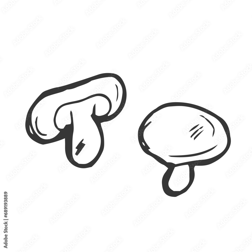 Hand drawn sketch of champignons. Vector illustration of mushrooms champignons on white background. Hand drawn sketch of champignons. Vector illustration of mushrooms champignons on white background.