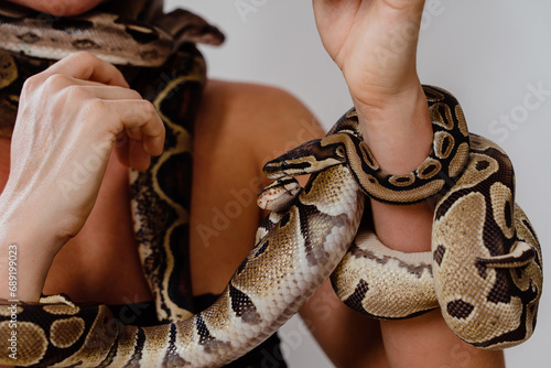 Woman with python snakes elegantly slithering over her arm