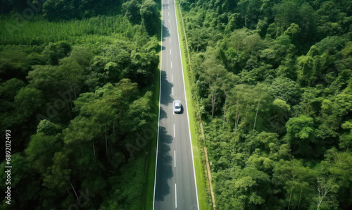 Aerial View of Asphalt Road Meandering Through Green Forest - Harmony of Ecology and Adventure.