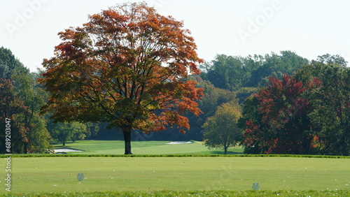 The beautiful autumn view with the colorful trees and leaves in the park