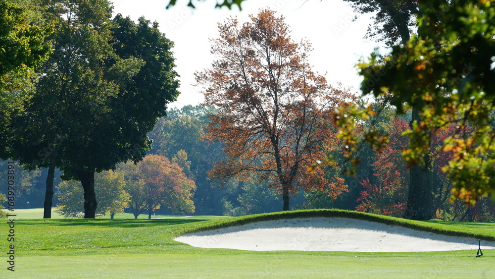 Obraz premium The beautiful autumn view with the colorful trees and leaves in the park