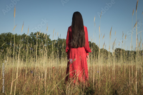 rear view of woman in red dress standing outdoors in grass field  photo