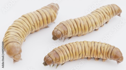 Realistic 3D Render of Wax Worms