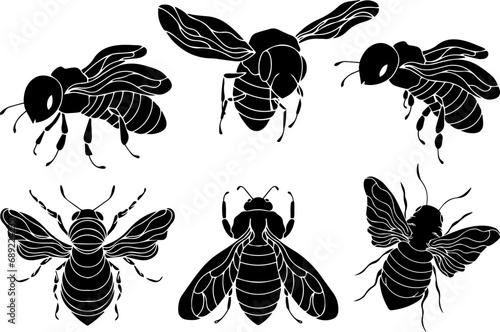 Set of honey bee logos. Vector drawings of bees. © Tetiana Komarytska