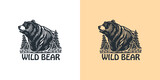 wild bear illustration