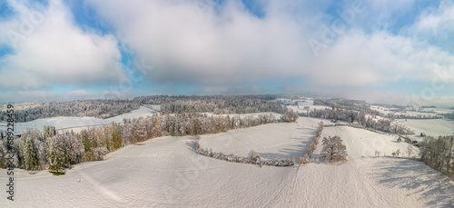 Winterzauber, Eingefrorene Pracht in Zürichs Umgebung, Schneebedeckte Wiesen und Bäume, Panorama unter einem klaren Himmel mit zarten weißen Wolken, Landschaftsaufnahme aus der Luft, Drohnen Panoram photo