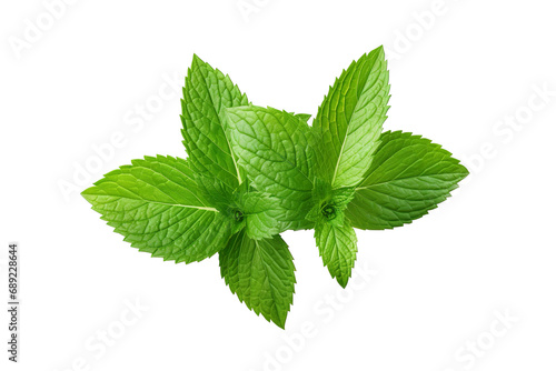 Fresh mint leafs isolated on transparent or white background PNG