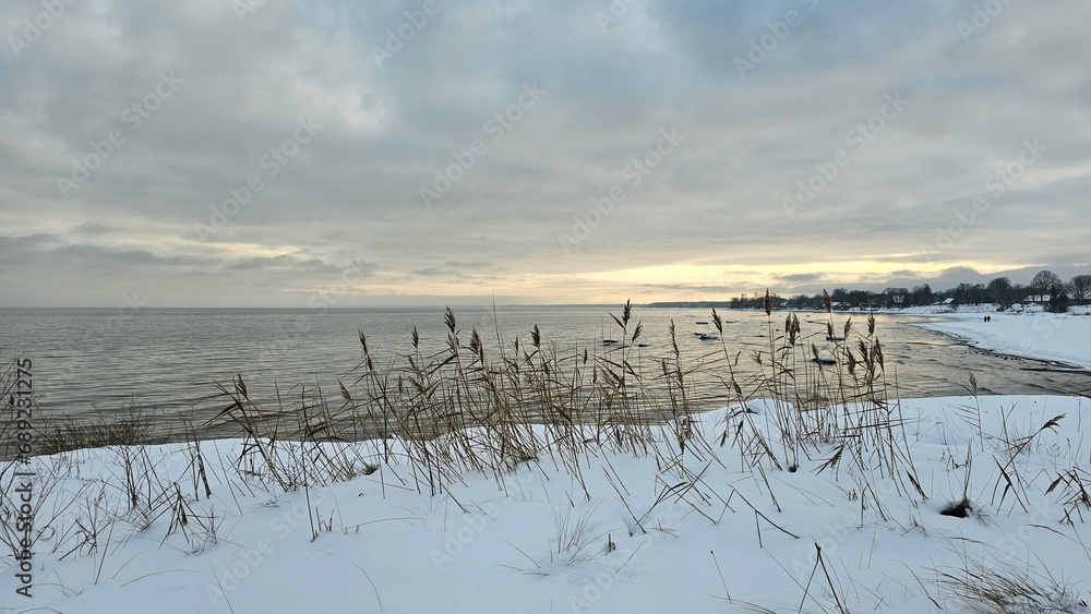 Winter coast of the Baltic Sea, winter landscape, shore covered with snow, reeds in the snow, sunset Winter coast of the Baltic Sea, winter landscape, shore covered with snow, reeds in the snow, sunset