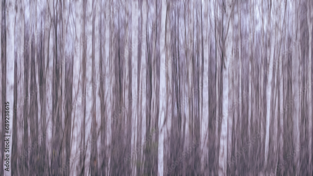 birch forest background with motion blur birch forest background with motion blur