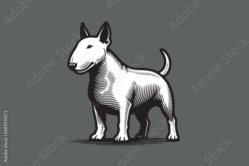 Canvas Print Beautiful vintage engraving illustration of a white bull terrier dog