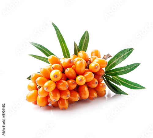 sea buckthorn on a white background