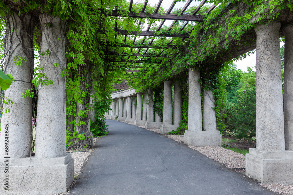 Pergola with green plants at Centennial Hall in Wroclaw. Poland in summer.