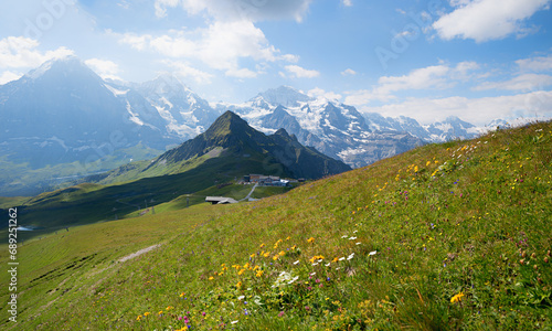 beautiful summer landscape Bernese Alps with flower meadow