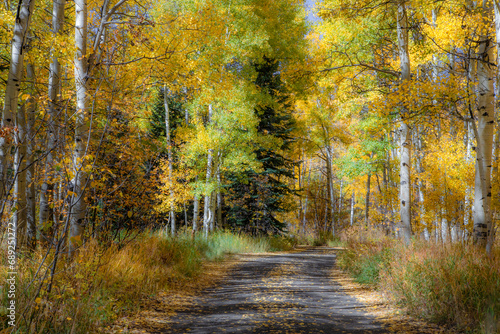 Fototapeta Naklejka Na Ścianę i Meble -  Colorado Fall Colors