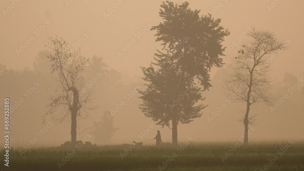 Foggy winter morning video of rural Bangladesh with ambient sound. Serene and picturesque footage for use in videos about nature, travel, and rural life. Biking, cycling, hiking, travel, vacation Foggy winter morning video of rural Bangladesh with ambient sound. Serene and picturesque footage for use in videos about nature, travel, and rural life. Biking, cycling, hiking, travel, vacation