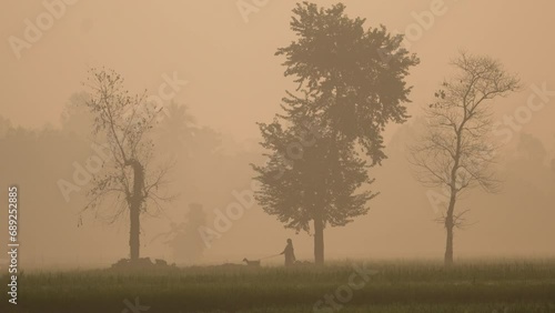 Wallpaper Mural Foggy winter morning video of rural Bangladesh with ambient sound. Serene and picturesque footage for use in videos about nature, travel, and rural life. Biking, cycling, hiking, travel, vacation Torontodigital.ca