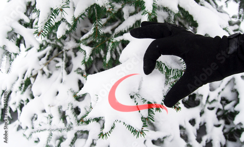 Heart of two halves: one half is from hand in black glove, other drawn red. Fir-tree under snow background.Valentine's day concept. photo
