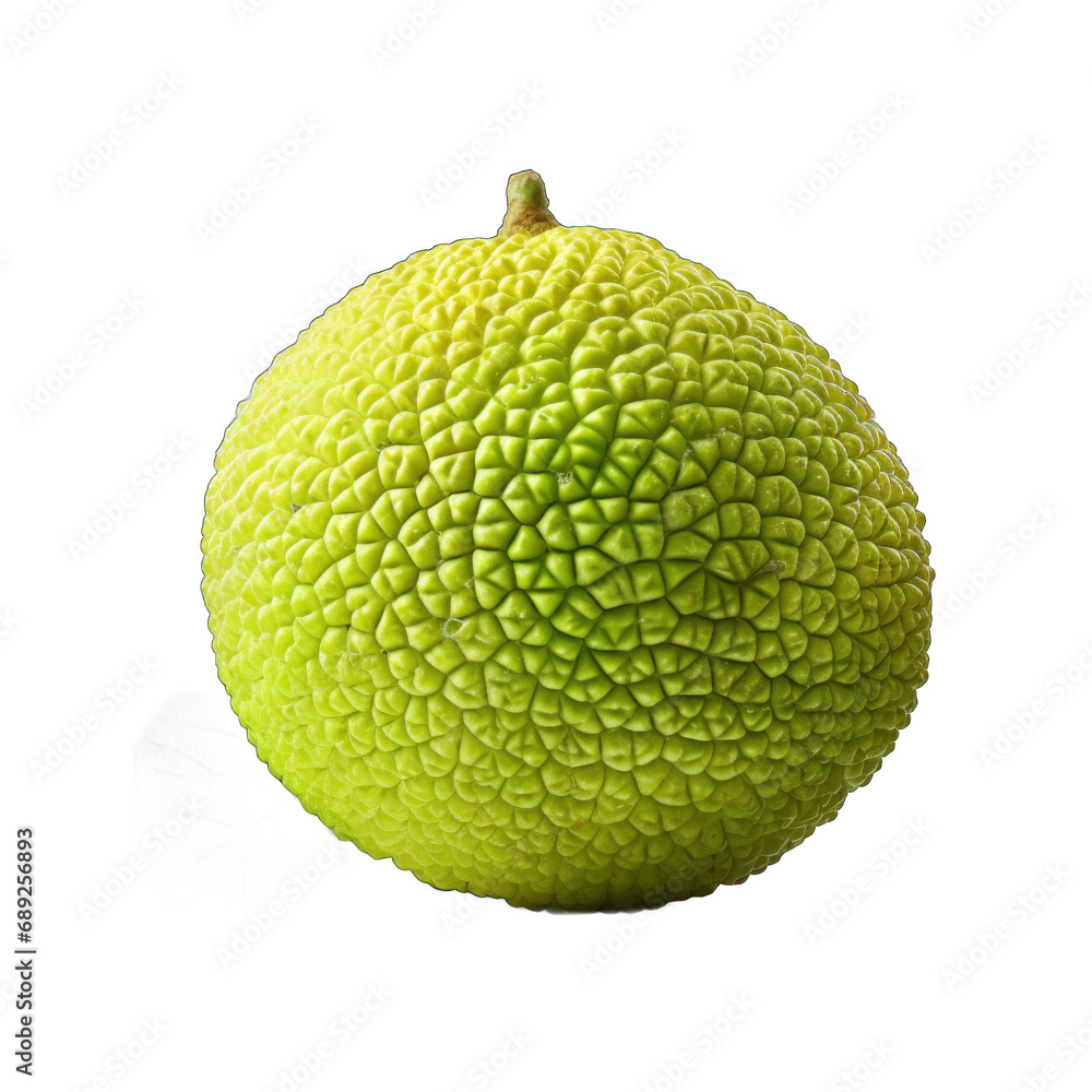 Ugli Fruit isolated on transparent background Ugli Fruit isolated on transparent background