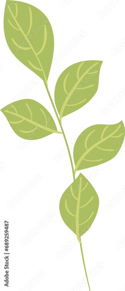 Mint Leaves Branch
