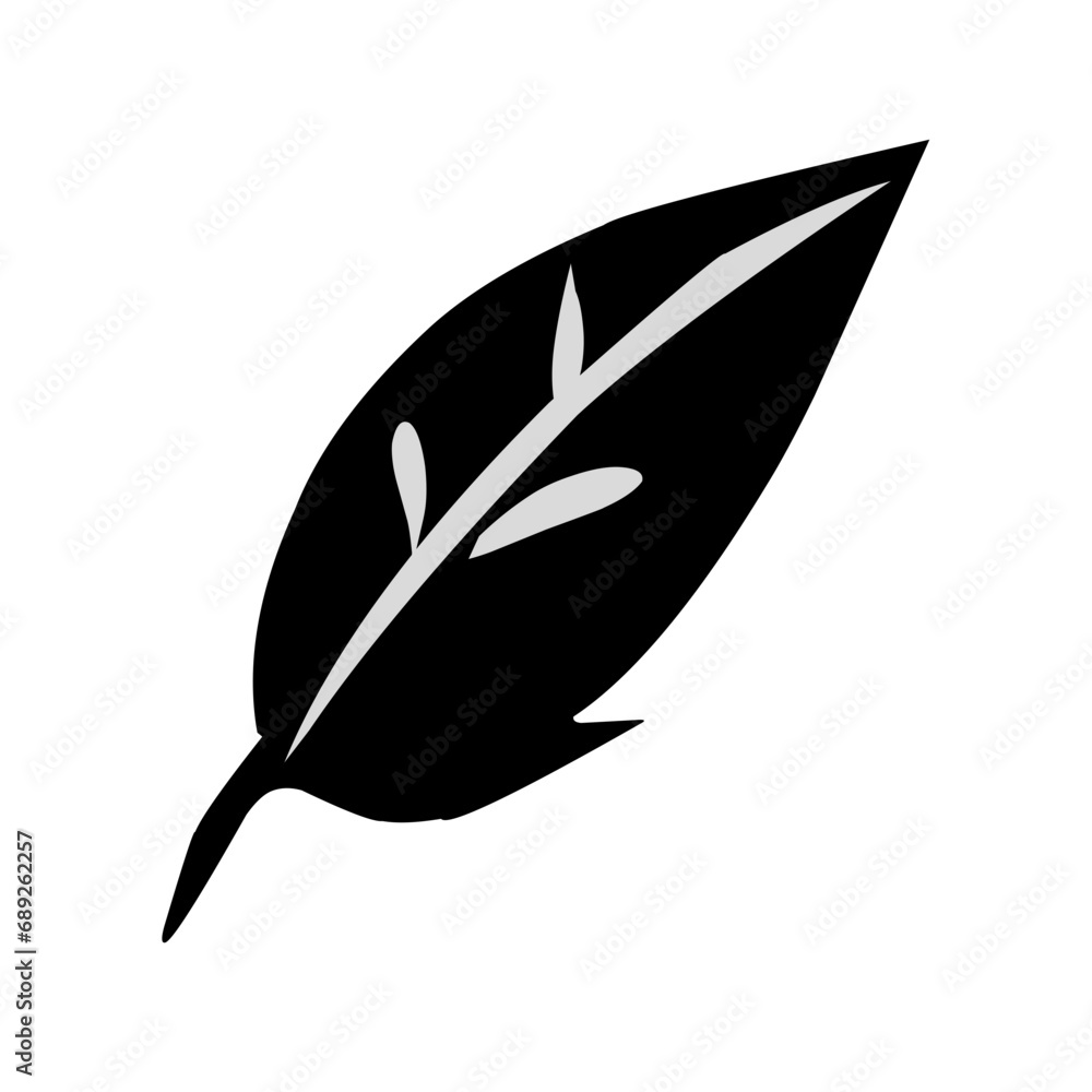 collection of leaves collection of leaves