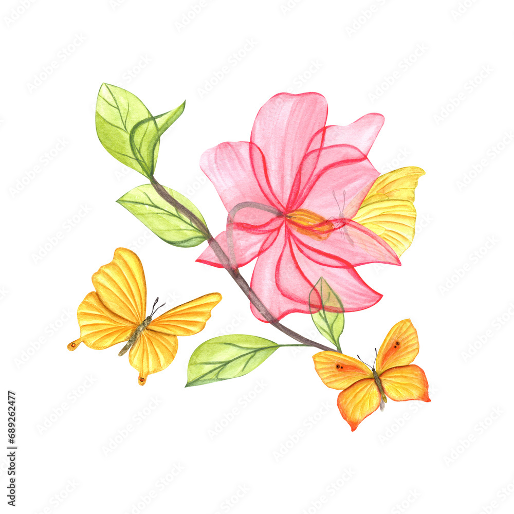 Magnolia branch with pink flower. Transparent spring flowering plant. Yellow butterflies fluttering around plant. Flower petals, green young leaves. Watercolor illustration for postcard, greetings