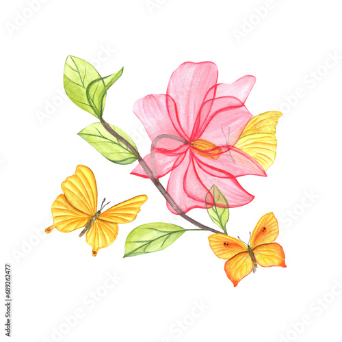 Magnolia branch with pink flower. Transparent spring flowering plant. Yellow butterflies fluttering around plant. Flower petals, green young leaves. Watercolor illustration for postcard, greetings