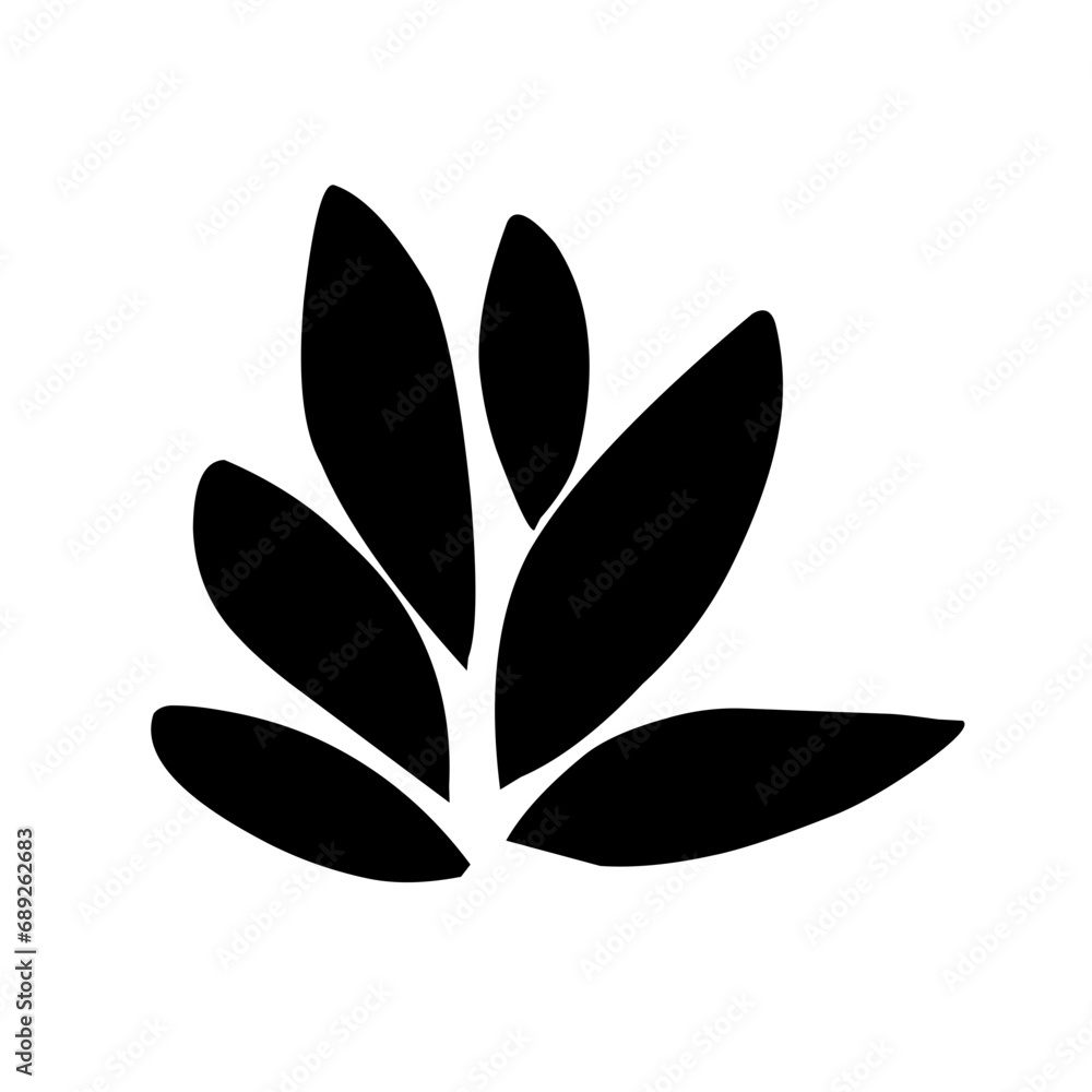 collection of leaves collection of leaves
