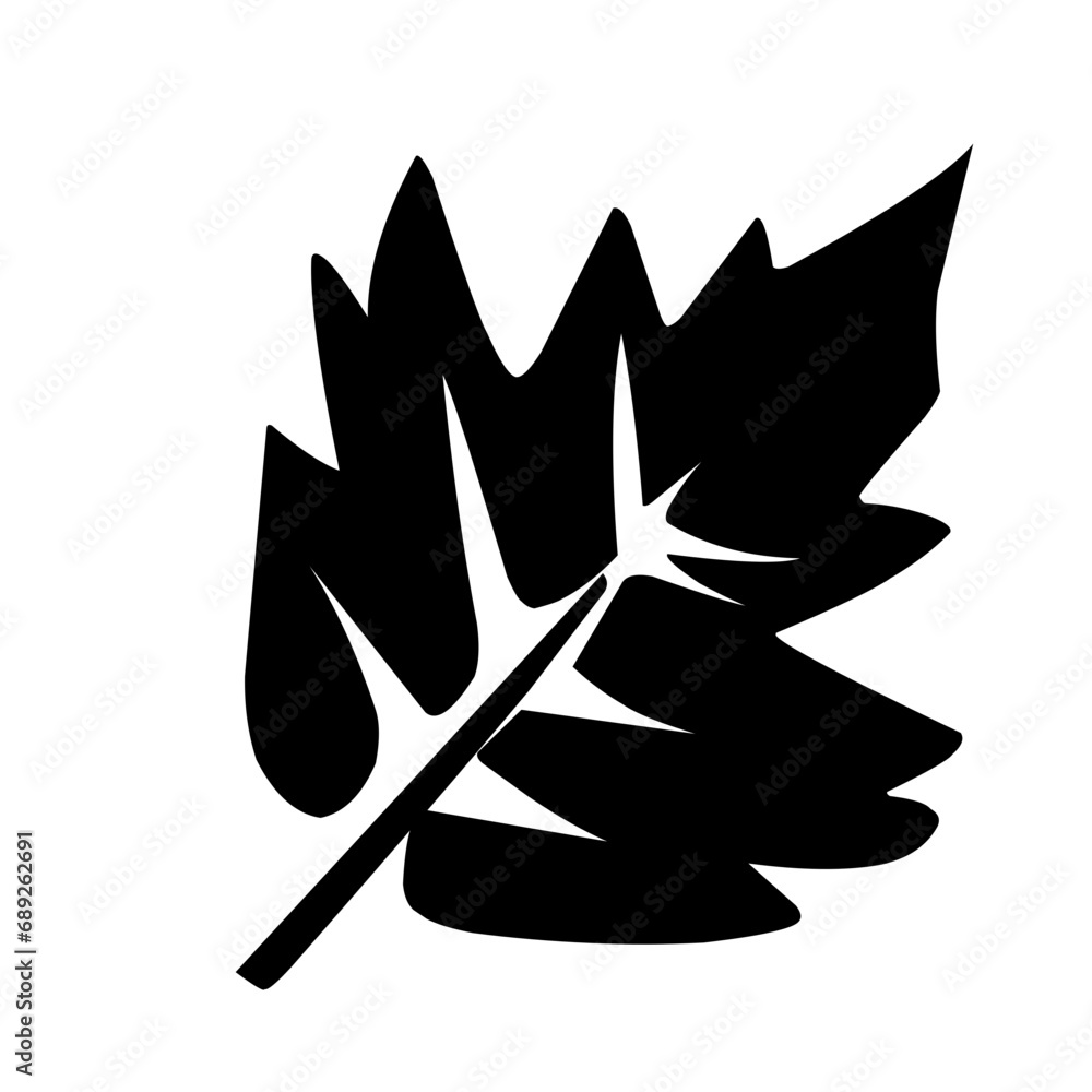 collection of leaves collection of leaves
