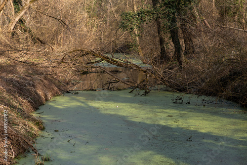 River Mura in Slovenia  Europe