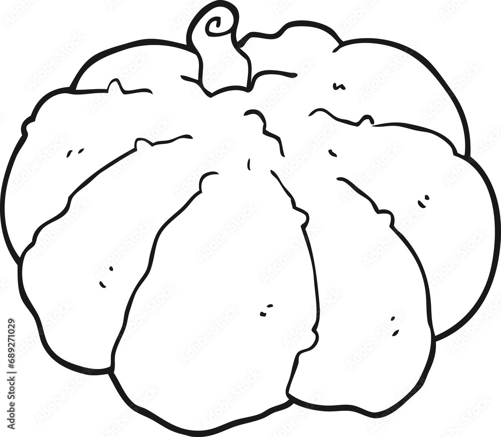 cartoon squash