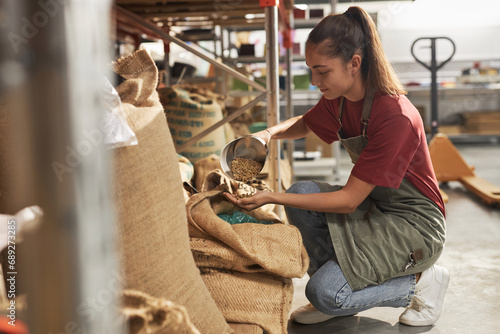 Side view portrait of smiling young woman scooping fresh coffee beans in coffee roastery and doing quality inspection, copy space