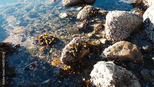 stones on the beach