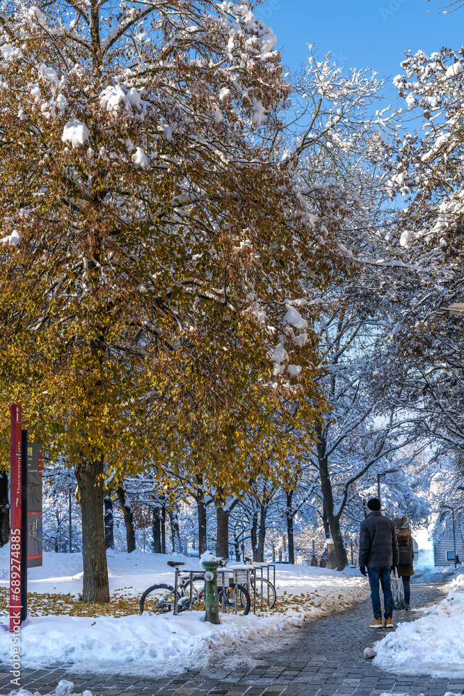 Winterlandschaft in einem Park bei Straubing Winterlandschaft in einem Park bei Straubing
