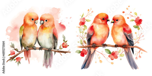 cute watercolor love birds vectors