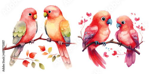 red pink two love parrots on white background