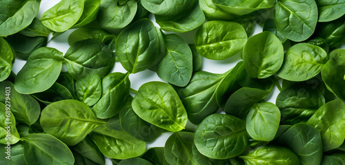 fresh basil leaves