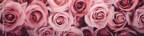 pink rose flowers background banner