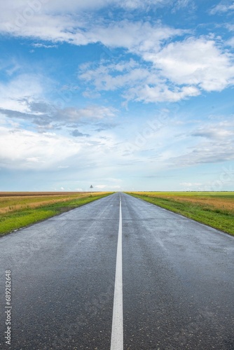 Perspective of the road in summer in the middle of the steppe