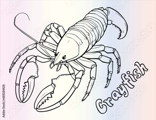 Crayfish In Sea Coloring Pages Drawing For Kids