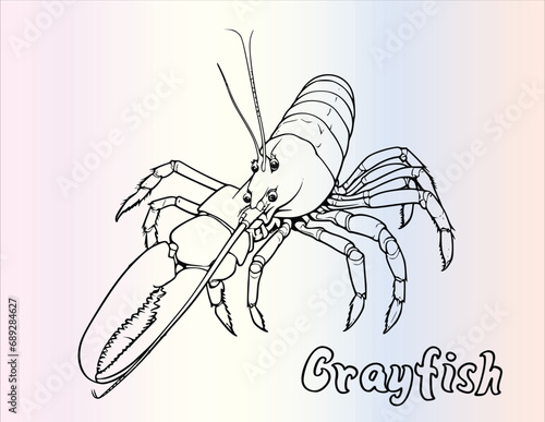 Crayfish In Sea Coloring Pages Drawing For Kids