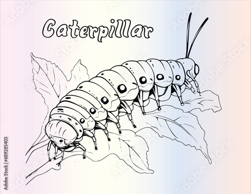 Caterpillar Coloring Page for Kids