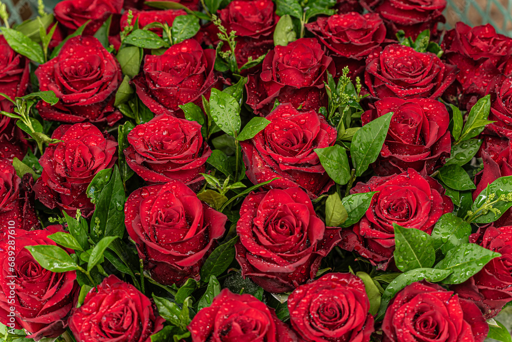 bouquet of red roses best gift 14 february valentines day bouquet of red roses best gift 14 february valentines day
