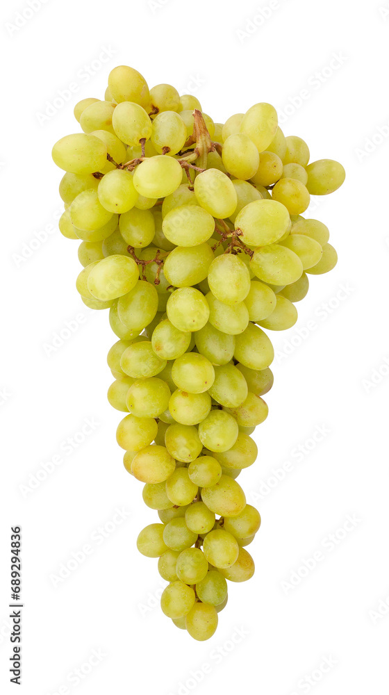 sultana grapes path isolated on white sultana grapes path isolated on white