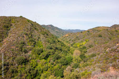 Vibrant Greens in the Santa Monica Mountains