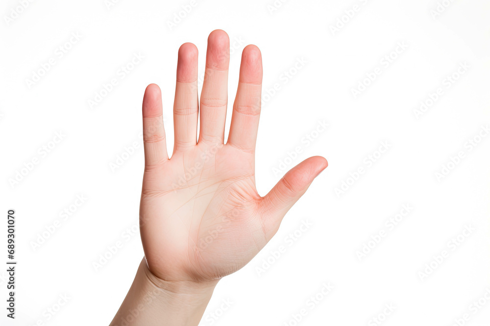 hand holding net zero target and carbon credit.CO2 emission reduction to stop global warming problem and reduce pollution into atmosphere from big industries hand holding net zero target and carbon credit.CO2 emission reduction to stop global warming problem and reduce pollution into atmosphere from big industries