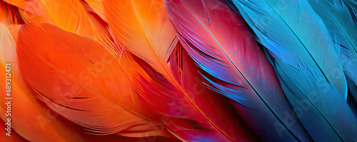 Rainbow colorful feathers background. © Alena