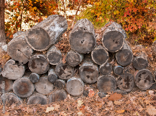  Stacked Seasond Unsplit Firewood