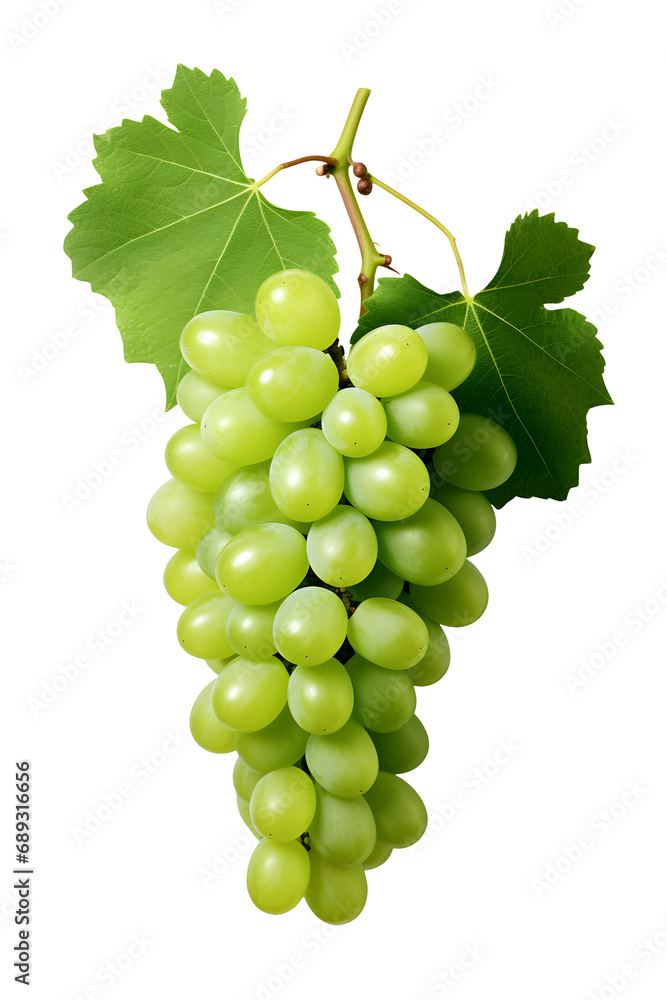 grapes with stem and leaves, with water drop effect (transparent background) grapes with stem and leaves, with water drop effect (transparent background)